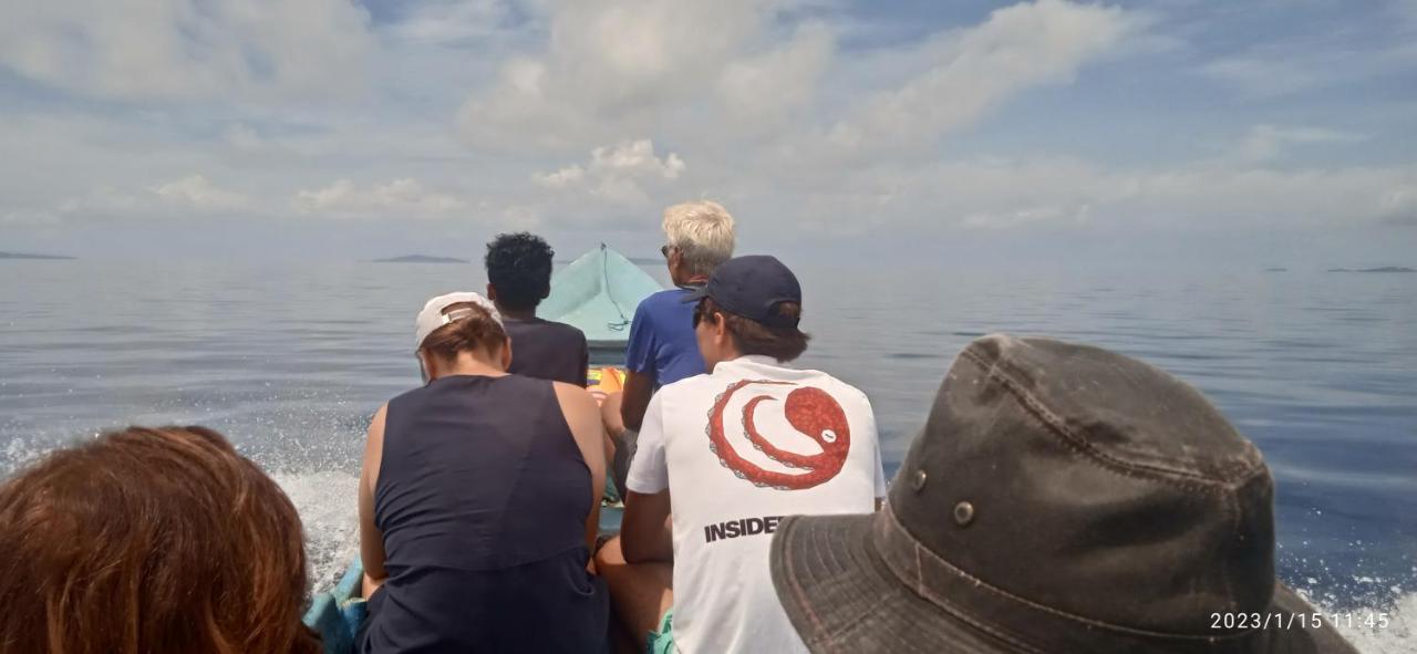 Arborek Diving Homestay R4 Besir Eksteriør bilde
